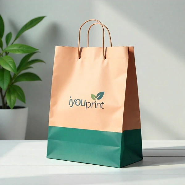  Packaging Recycle Paper Bag Dp